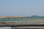 Naxos stad | Eiland Naxos | Griekenland | foto 16
