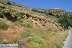 Apiranthos | Eiland Naxos | Griekenland | Foto 4