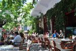 Filoti | Eiland Naxos | Griekenland | Foto 5